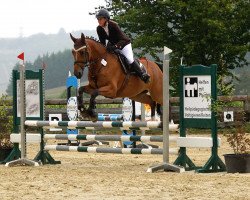 jumper Amy Von den Meweshöfen (Oldenburg show jumper, 2010, from Demet - Apokalipsis)