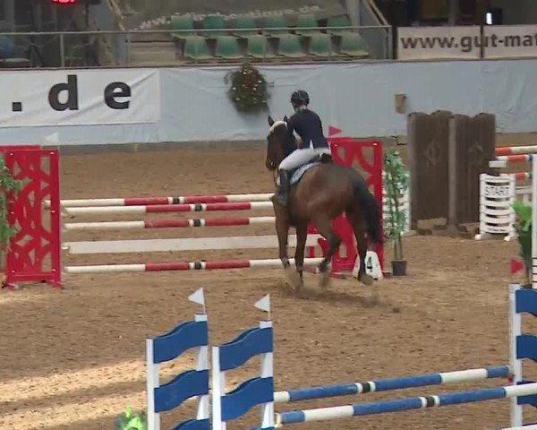 Reitturnier Kreuth/Opf. 2022