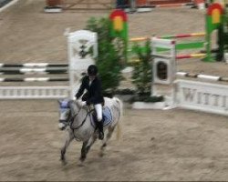 Springpferd Vanilla Sky 6 (Deutsches Reitpony, 2000, von Vulkan)