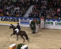 broodmare Denia (Westphalian, 2002, from Dollmann)
