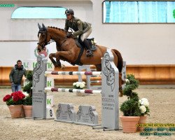 broodmare Kasalla (Holsteiner, 2015, from Kannan)