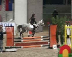 jumper Her Majesty 3 (Holsteiner, 2003, from Hunter)