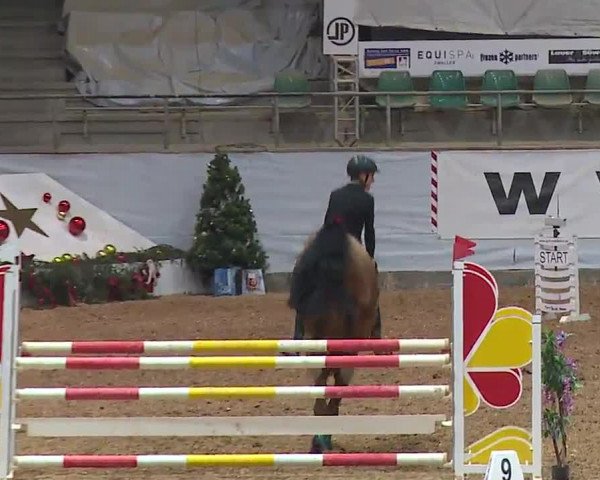 Reitturnier Kreuth/Opf. 2022