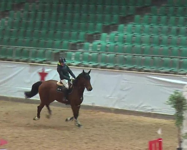 Reitturnier Kreuth/Opf. 2022