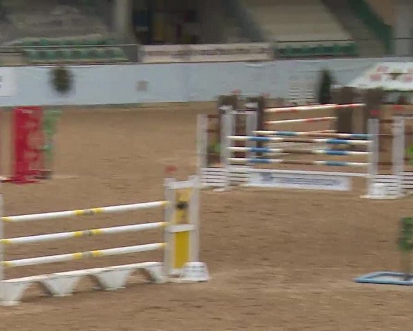 Reitturnier Kreuth/Opf. 2022