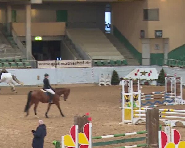 Reitturnier Kreuth/Opf. 2022