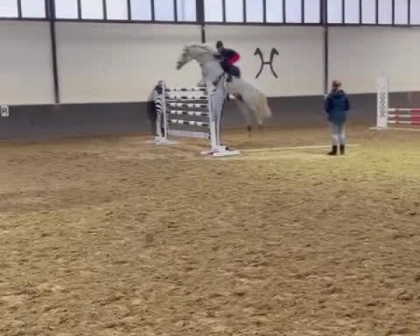 Video of Happy Hermes