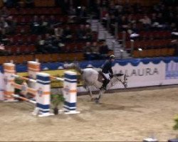 Springpferd Wiolita D (KWPN (Niederländisches Warmblut), 2003, von Cavalier)