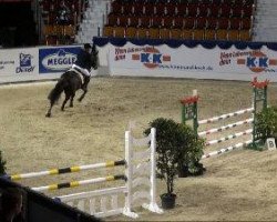 jumper Cabajour (Westphalian, 2003, from Collin L)