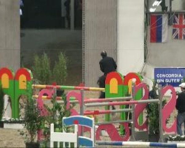 jumper Corano 19 (Oldenburg, 2003, from Corrado I)