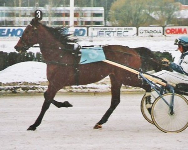 broodmare Jade Crown 7007-Z (US) (American Trotter, 1981, from Speedy Crown 9498H (US))