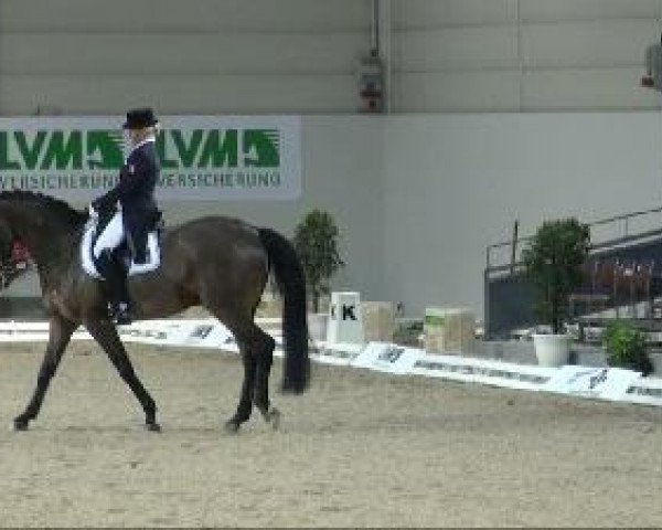 Dressurpferd Edward Louis B (Westfale, 2002, von Ehrentanz I)