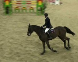 jumper Corona (Holsteiner, 1997, from Contender)