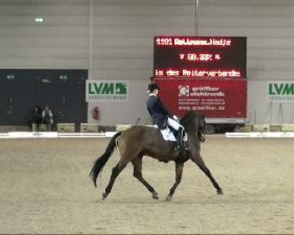 Dressurpferd Rivel de Solitaire (Westfale, 2001, von Riccione)