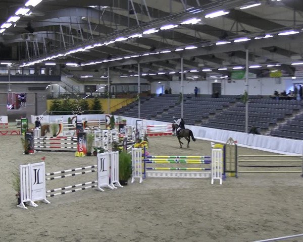 Reitturnier Verden 2022