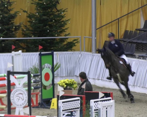 Reitturnier Verden 2022