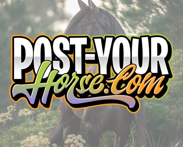 POST-YOUR-HORSE .com