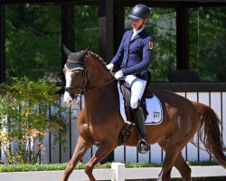 jumper Kastanienhof Rubina Kh (German Riding Pony, 2017, from Kastanienhof Kentaur WE)