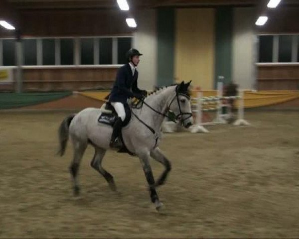 jumper White Magic 28 (Belgian Warmblood, 1999, from Bon Ami)