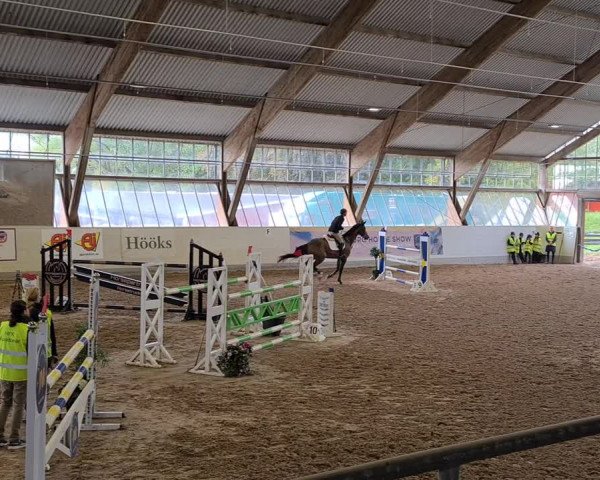 Video von Bibi Bijoux
