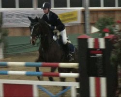 jumper Flying Anni (Westphalian, 2004, from Florentino)