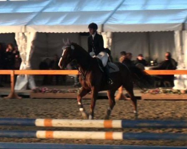 jumper Clay's Impression (Oldenburg, 2004, from Clay)