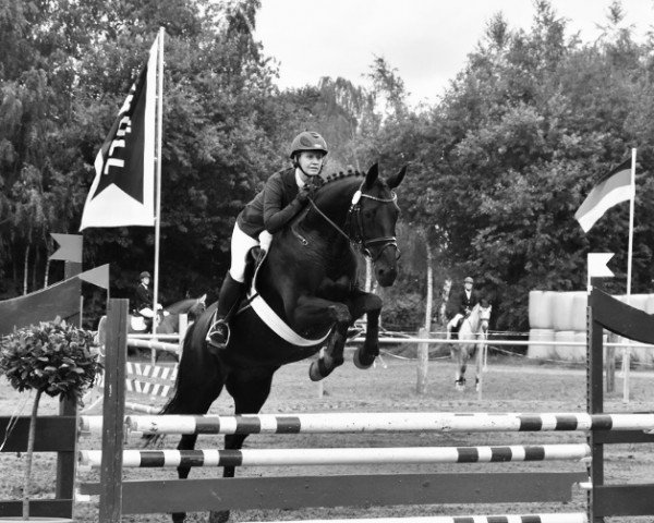 Springpferd Karamica Piccola M (Trakehner, 2002, von Windfall)