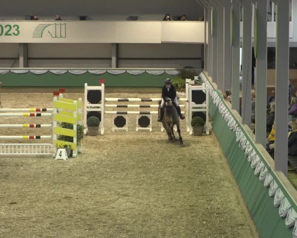 Reitturnier Gahlen 2023