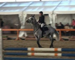 jumper Bottorfer (KWPN (Royal Dutch Sporthorse), 2004, from Berlin)