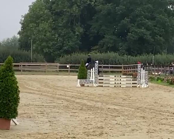 Reitturnier Altenberge 2022