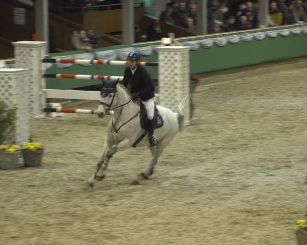 Reitturnier Gahlen 2023
