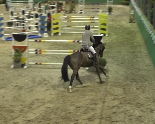 Reitturnier Gahlen 2023
