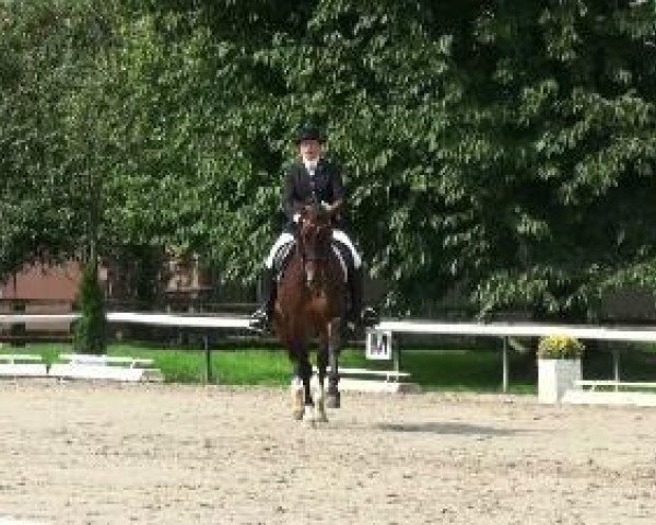 dressage horse Frasquita (Westphalian, 2000, from Fidermark)