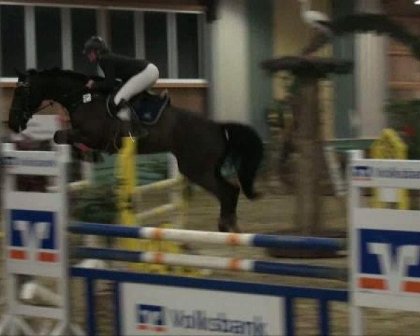 jumper Peppermint Patt (Oldenburg, 2003, from Barrichello)