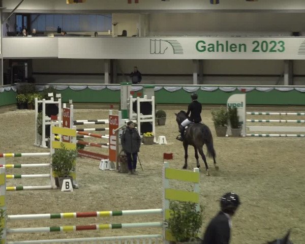 Reitturnier Gahlen 2023