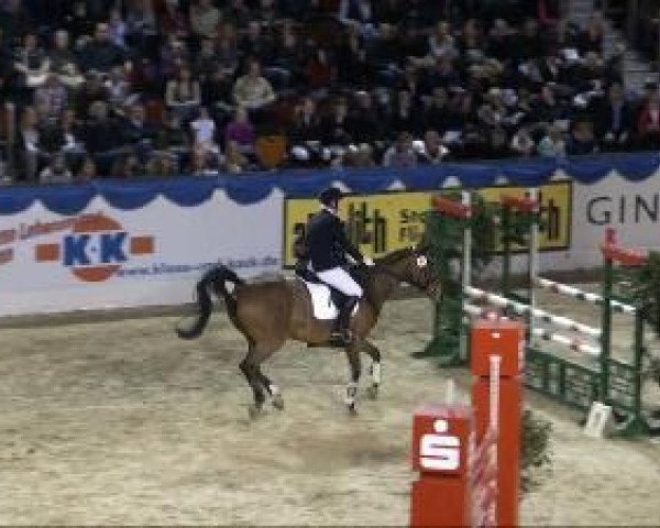 eventing horse Autumn Spirit 2 (Oldenburg, 2004, from Charon)