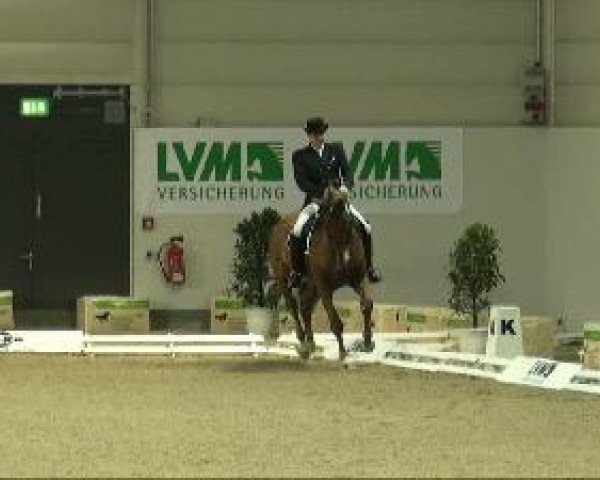 Dressurpferd Leif Mathi (Oldenburger, 2002, von Lordanos)