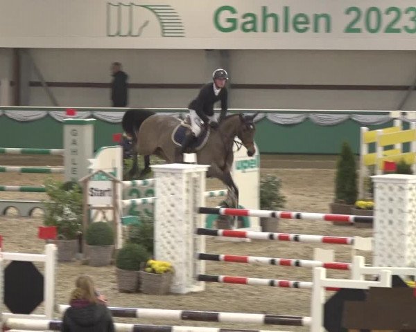 Reitturnier Gahlen 2023