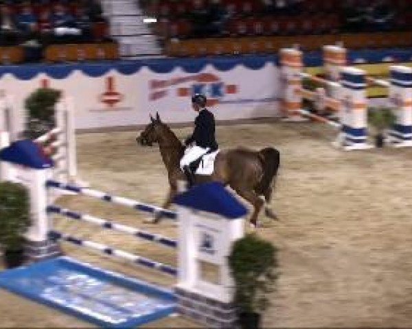 Springpferd La Corona (Westfale, 2004, von Lissabon 29) Springpferd La Corona (Westfale, 2004, von Lissabon 29)