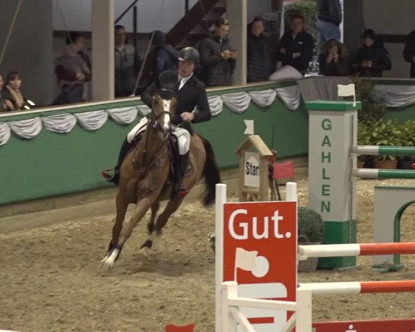 Reitturnier Gahlen 2023