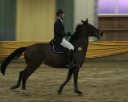 jumper Roxanne 138 (KWPN (Royal Dutch Sporthorse), 1998, from Catano)