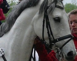jumper Grey Boy (Westphalian, 1998, from Grossadmiral)
