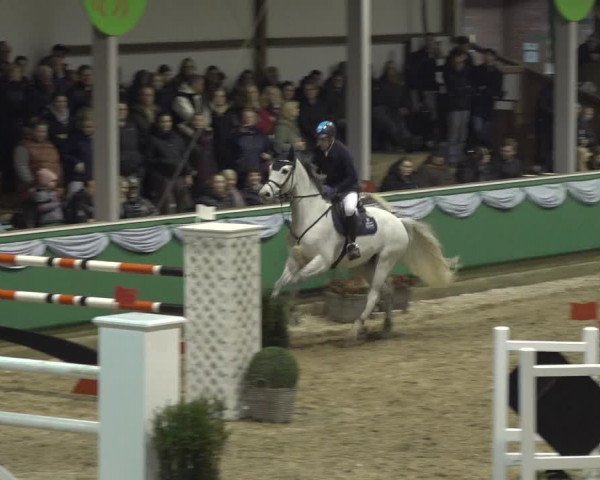 Reitturnier Gahlen 2023