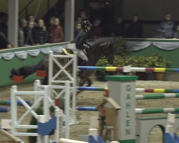 Reitturnier Gahlen 2023