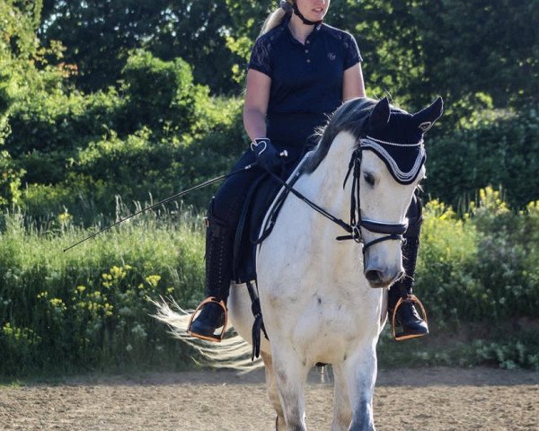 Laura Cathrin Korschanowski