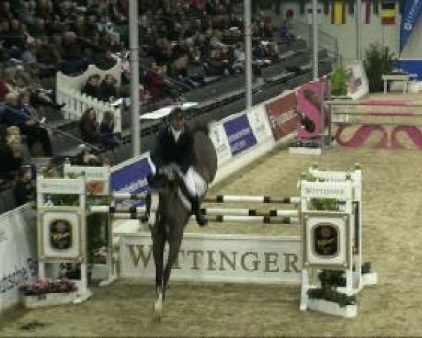 jumper Balou Blom (Oldenburg, 2004, from Balou du Rouet)