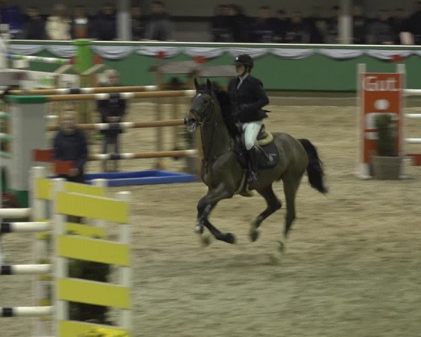 Reitturnier Gahlen 2023