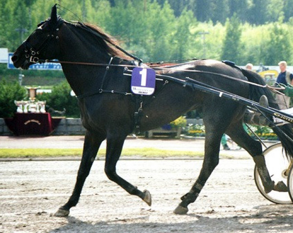 stallion Indian Silver 93-1352 (American Trotter, 1993, from Choctaw Brave 6577V (US))