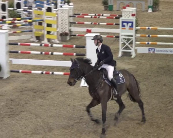 Reitturnier Gahlen 2023