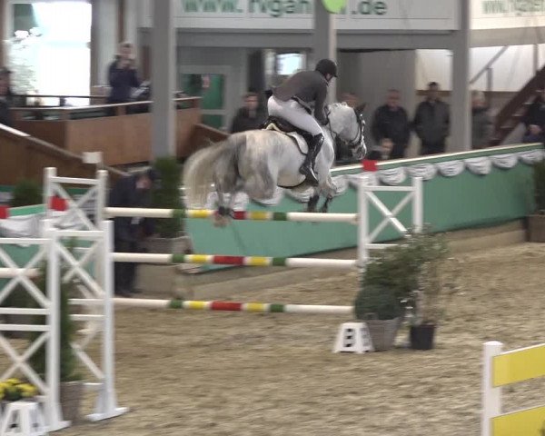 Reitturnier Gahlen 2023